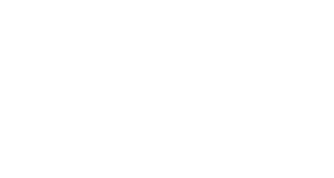 KOREA FUTURE SOLUTION
